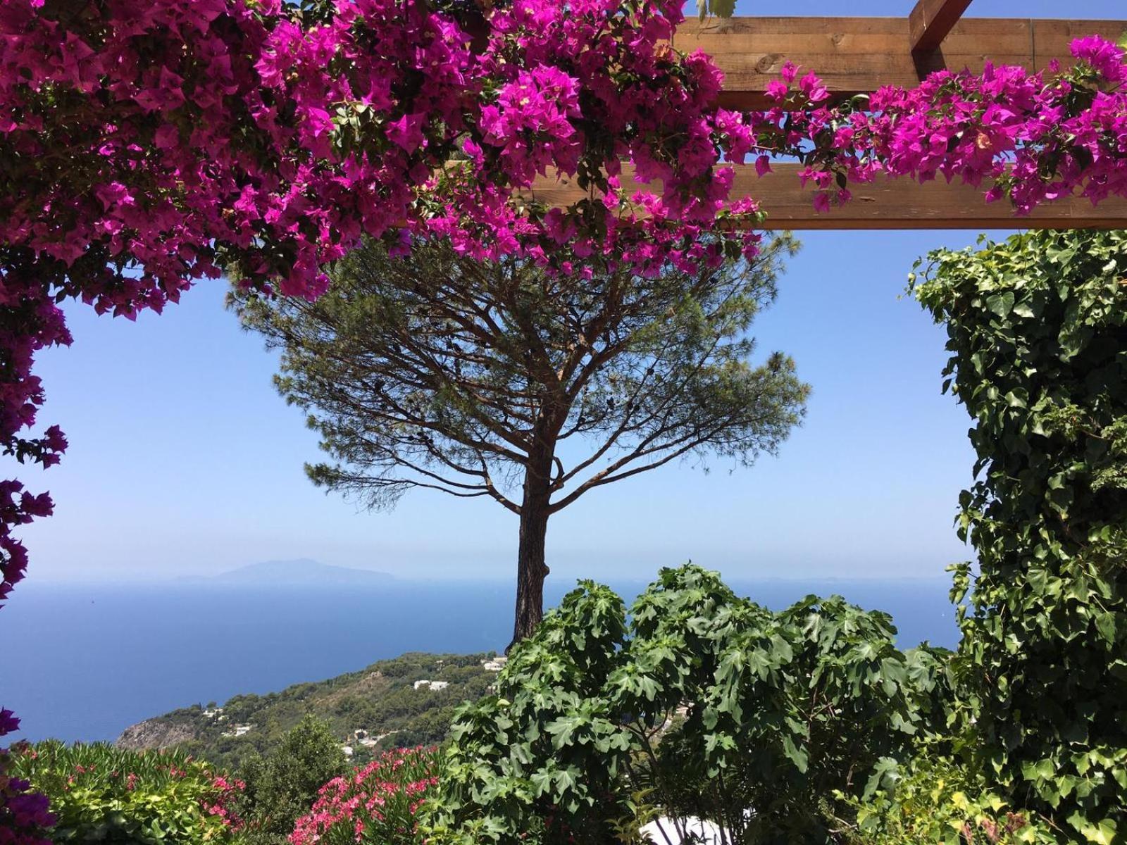 Hotel Casa Blu Anacapri  Exteriér fotografie