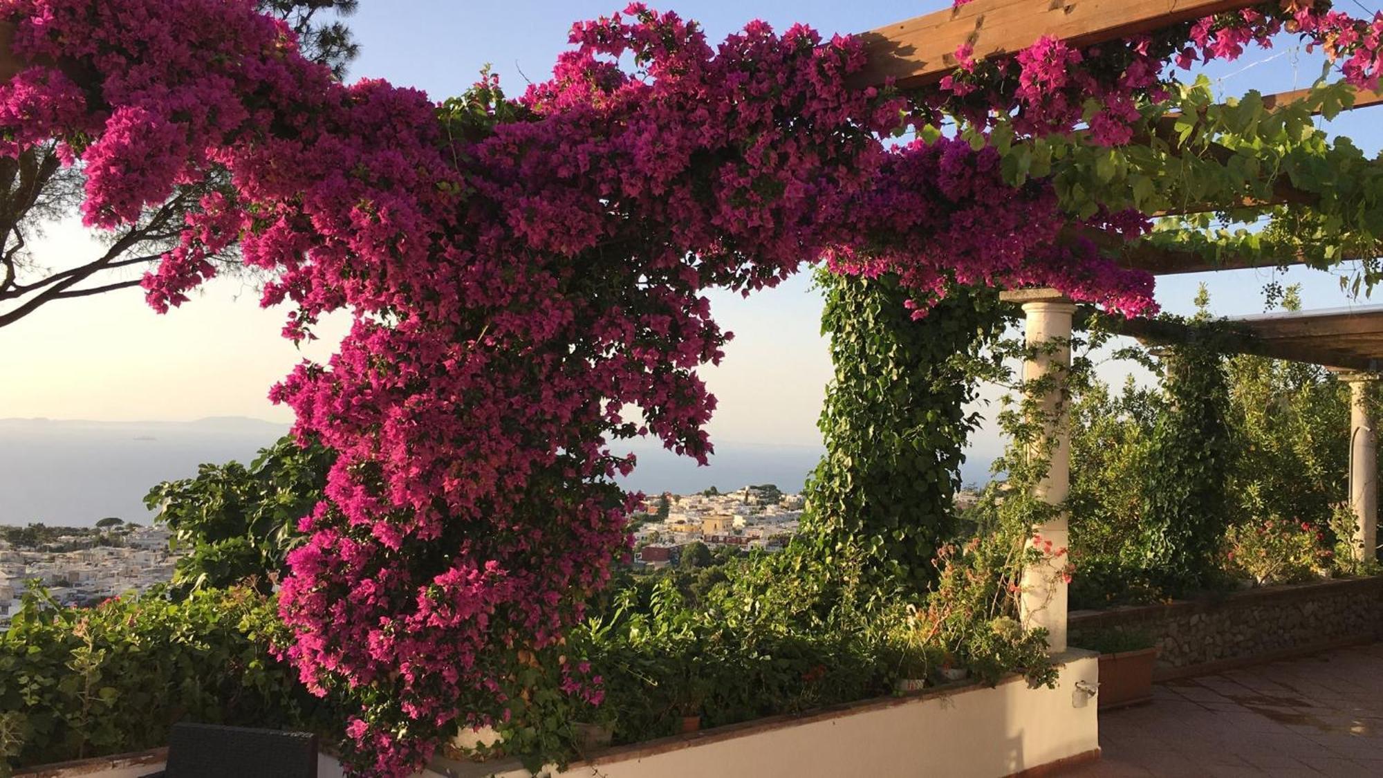 Hotel Casa Blu Anacapri  Exteriér fotografie