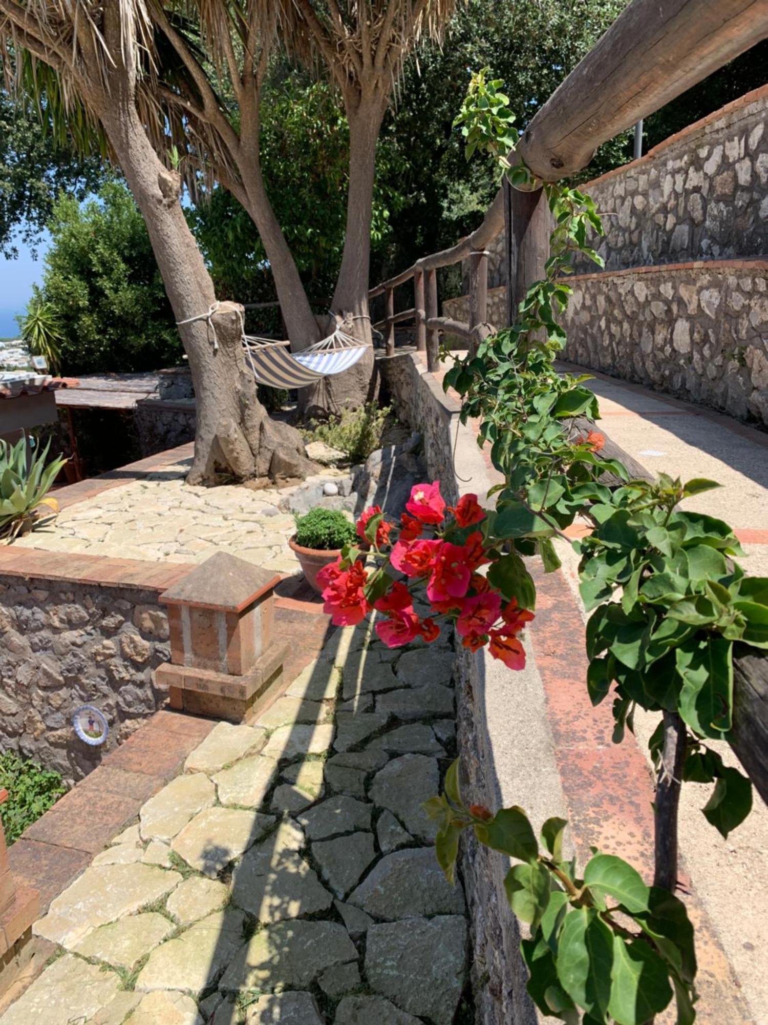 Hotel Casa Blu Anacapri  Exteriér fotografie