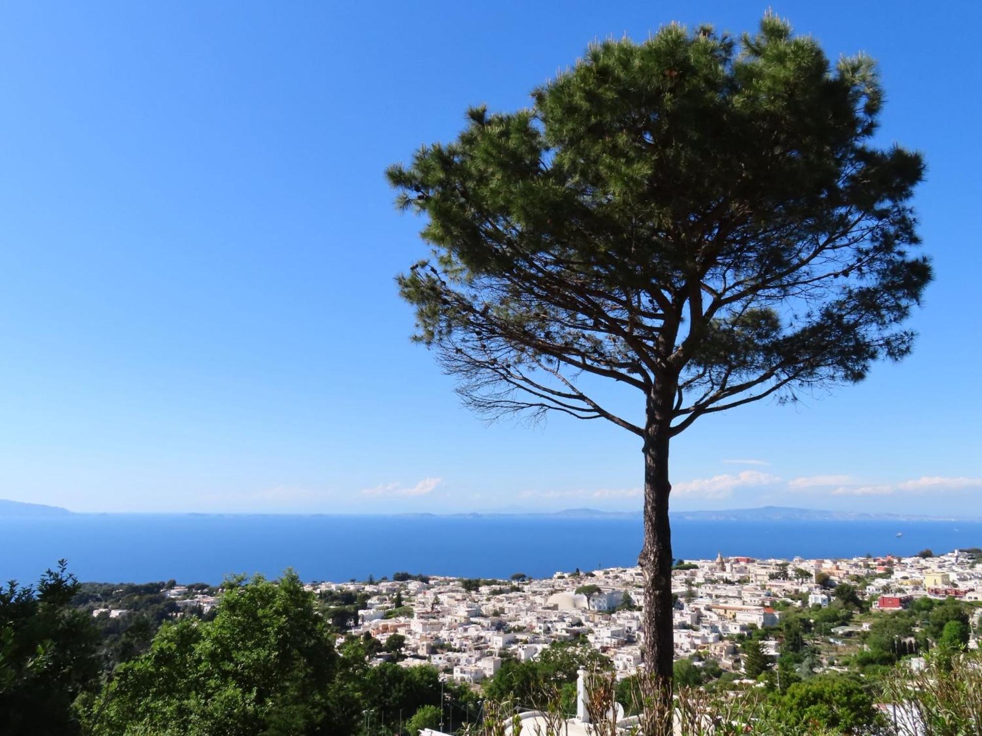 Hotel Casa Blu Anacapri  Exteriér fotografie